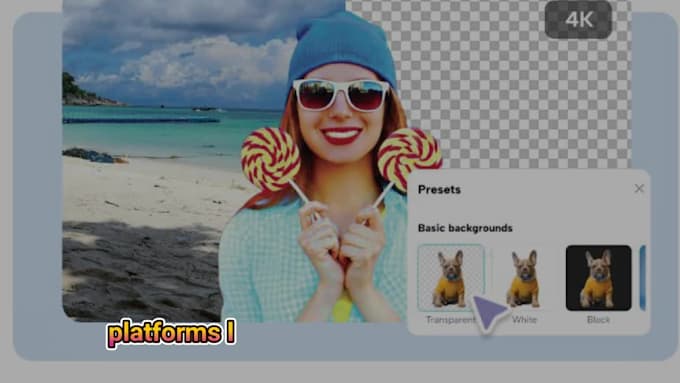 do clipping path and remove background professionally