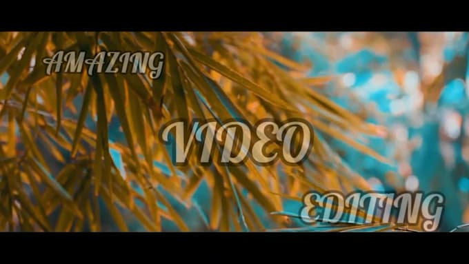 editing any videos to customer needs