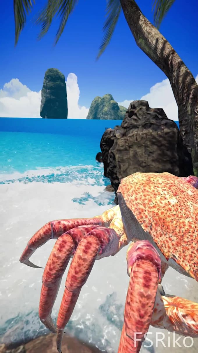record and edit vr videos for you