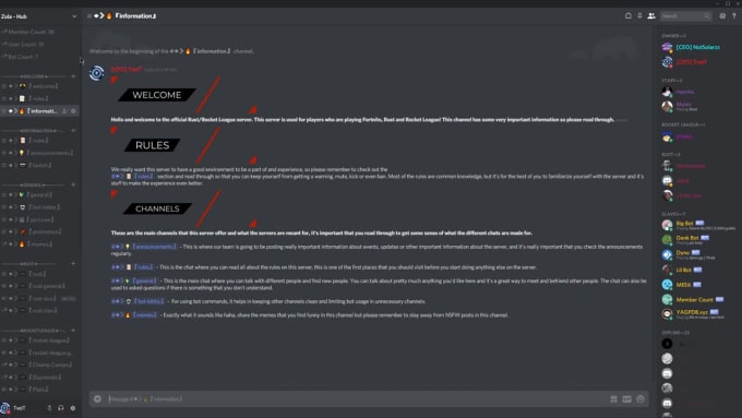 Unsatisfactory fast Unauthorized Make you a professional looking discord server by Orvyz_tveit | Fiverr