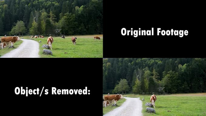 remove unwanted objects text from videos