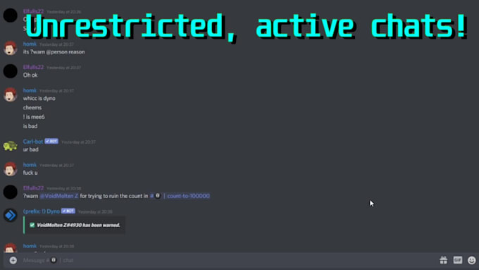 Create a custom discord server with bots for you by Hjomnk | Fiverr