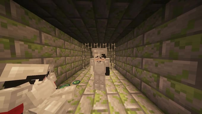 make you minecraft animated shorts videos