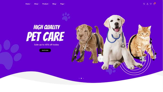 build a modern and creative wordpress website for you