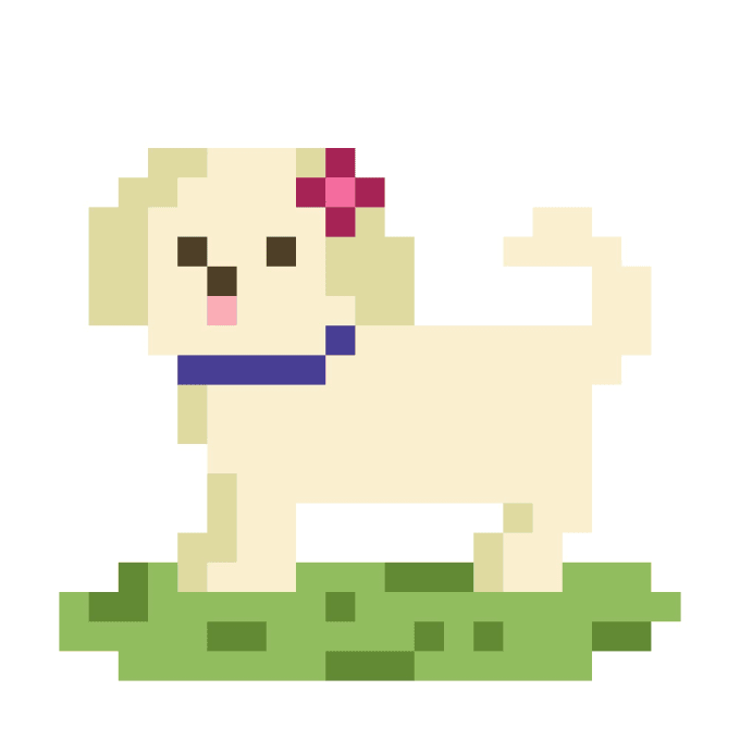 Create pixel art pets by Hezkorb | Fiverr