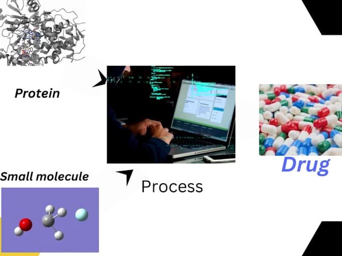 perform research based advanced drug screening and pharmacokinetic studies