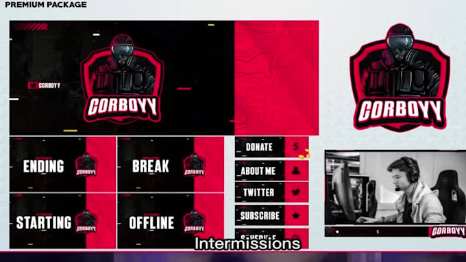 design a twitch overlay, panels, offline screen and logo within 9 hours