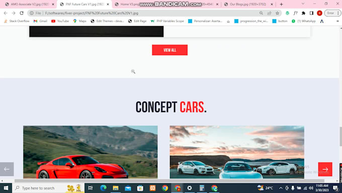 develop a responsive wordpress website design