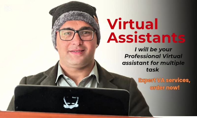 professional virtual assistant for multiple tasks and data entry