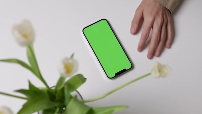 professionaly screen replacement with or without greenscreen