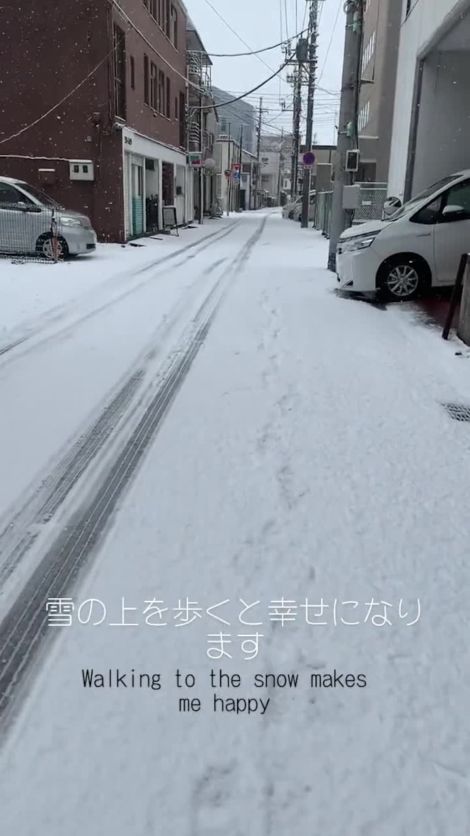 create subtitles or translate into japanese