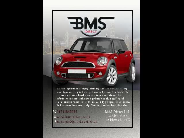 design professional and creative flyer or brochure within 10 hours