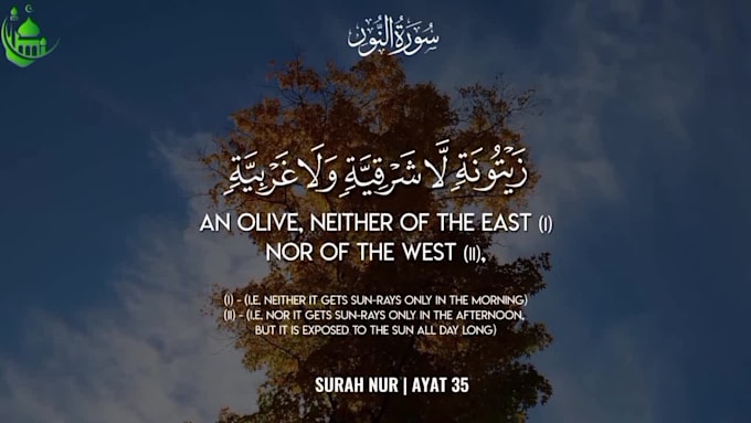 create beautiful quran recitation videos with translation