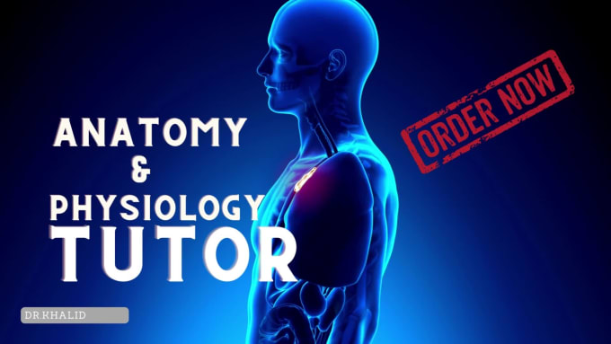 Be your anatomy physiology tutor by Drkhalid492 | Fiverr