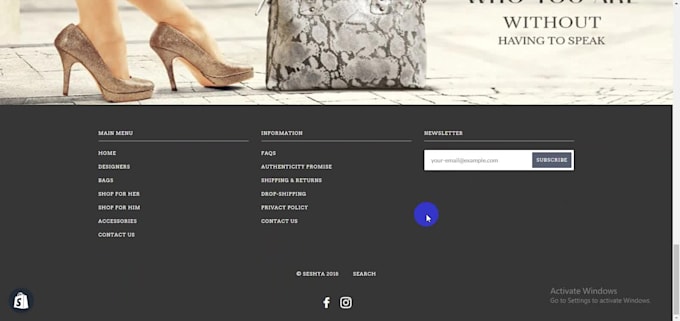 build shopify website, shopify dropshipping store