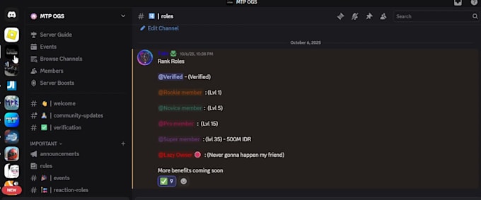 professionally setup discord community server with best design
