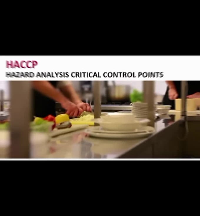 do provide iso 22000 haccp gmp halal organic certification