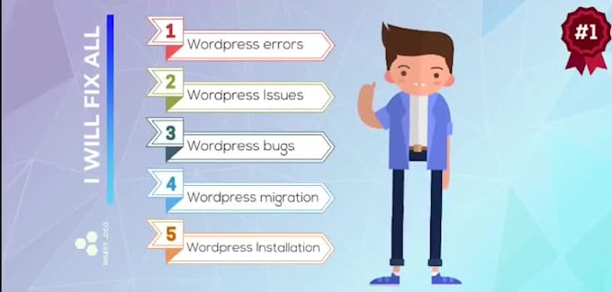 fix wordpress errors issues and customizations bugs