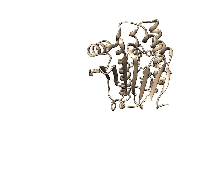 perform docking and advanced molecular dynamics simulation