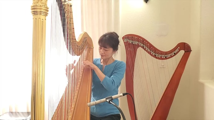 give harp lessons to any levels and any ages