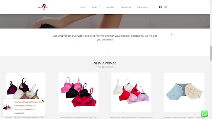 build a wordpress website for your business
