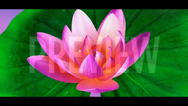 Create 3d flower animation, 3d rose model, flower design, product ...