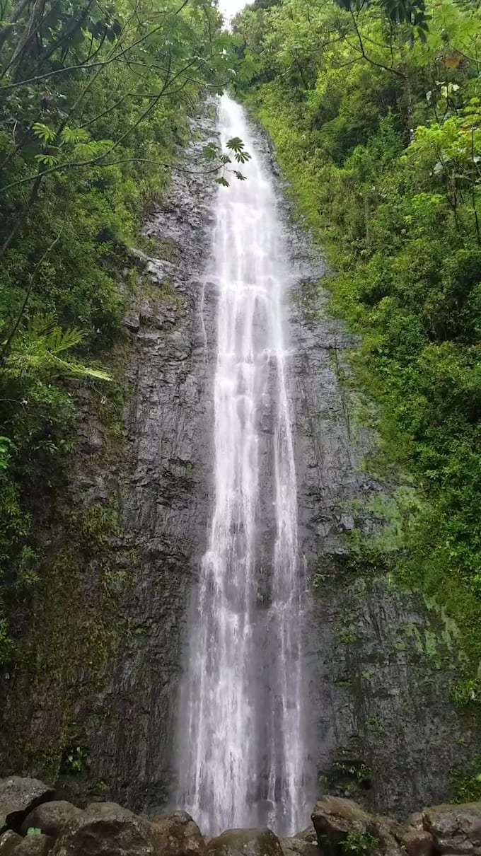 help you relax before the trip even begins