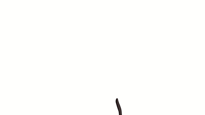 do anime animation loop
