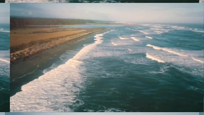 professionally edit your video