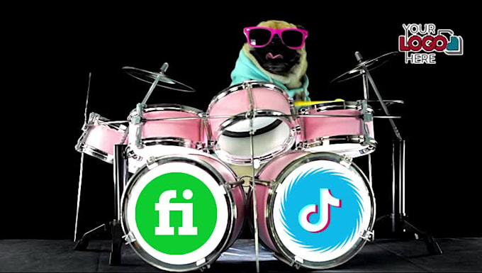 do this funny dj dog playing drum video ad