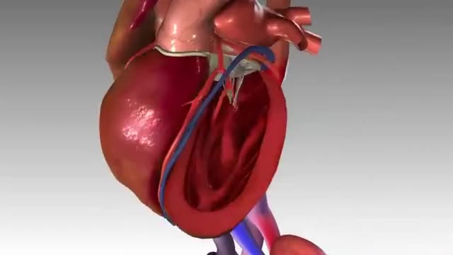3d medical explainer video, 3d medical animation video, 3d product animation
