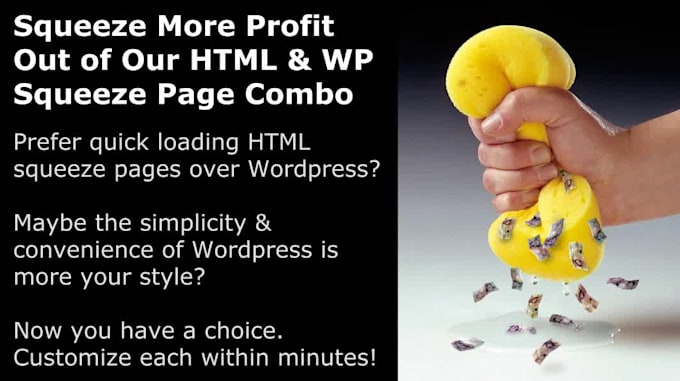 send 100 Landing Pages plus a LP Wordpress Plugin  U S seller