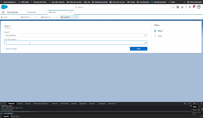 be your vlocity and salesforce project support person