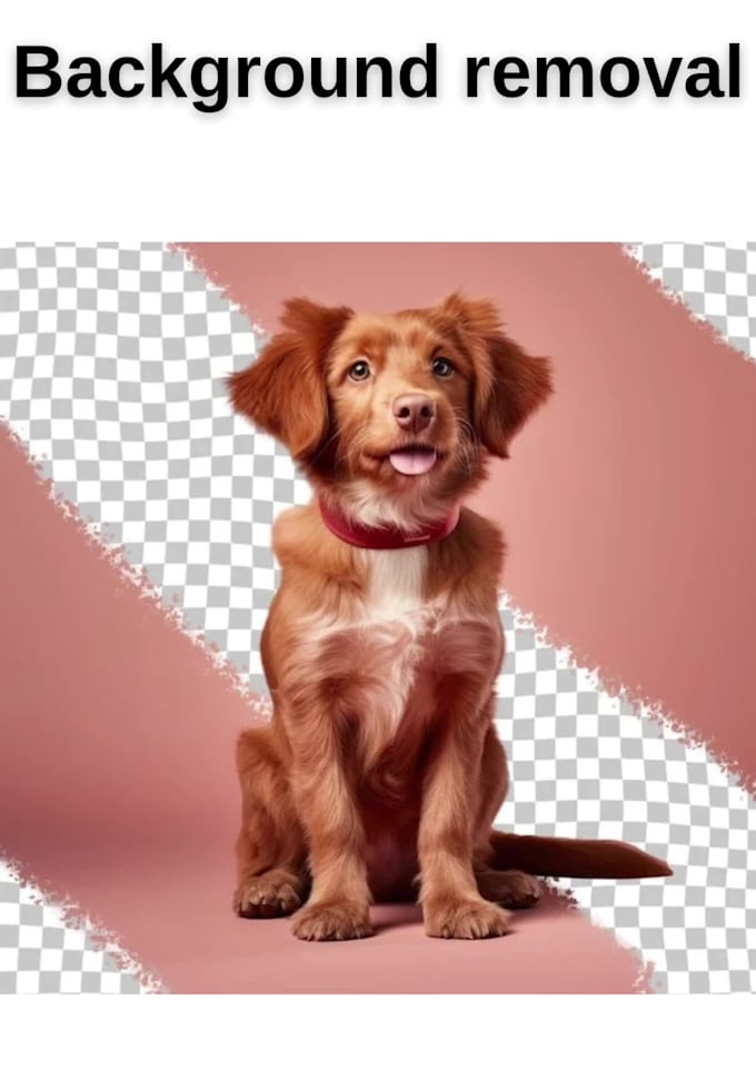 help you with your background