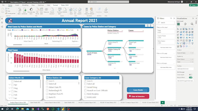 create professional power bi dashboard and reports
