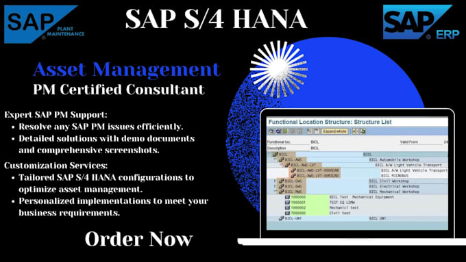 expert sap s4 hana eam pm support, customization, and training