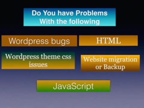 repair wordpress, fix bugs, errors and issues with pro support
