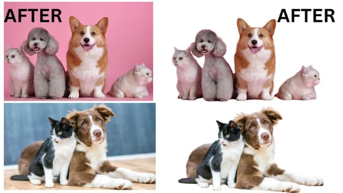 do bulk image background removal, replacement cropping, resize image