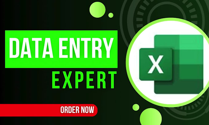 be your microsoft excel spreadsheet expert, do fast data entry typing work job