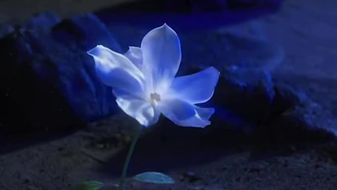 Render 3d cosmetic design skincare design perfume bottle product ...