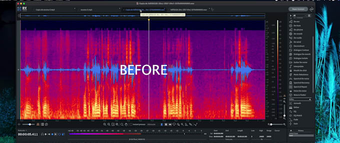 clean and repair your noisy audio