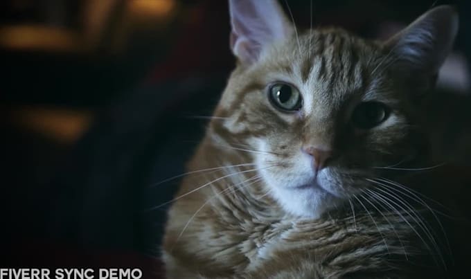 edit and sync your video up with music