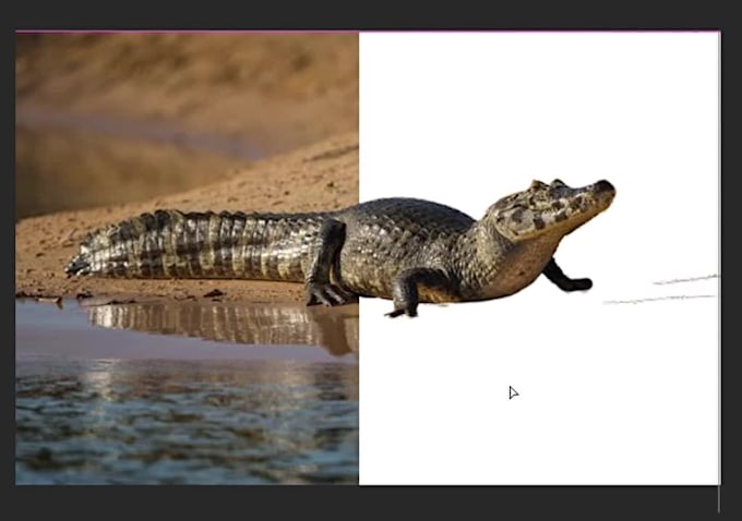 remove image background with clean edges and white or transparent output