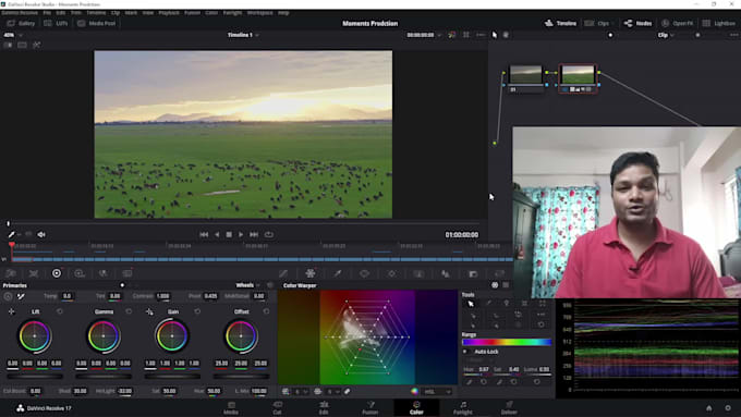 edit, color grade video with davinci resolve