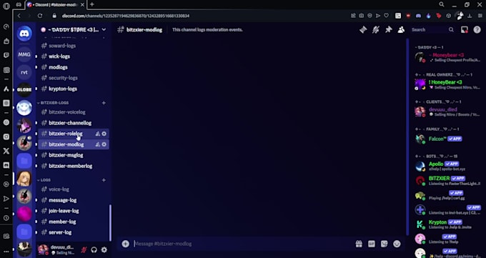 create a custom discord server with roles and bots