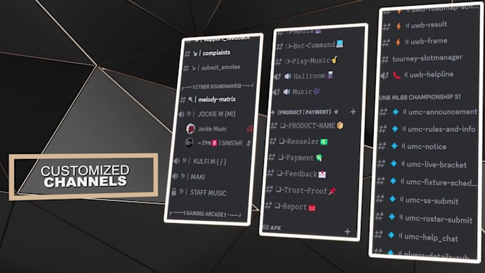 setup new and existing discord server at cheap