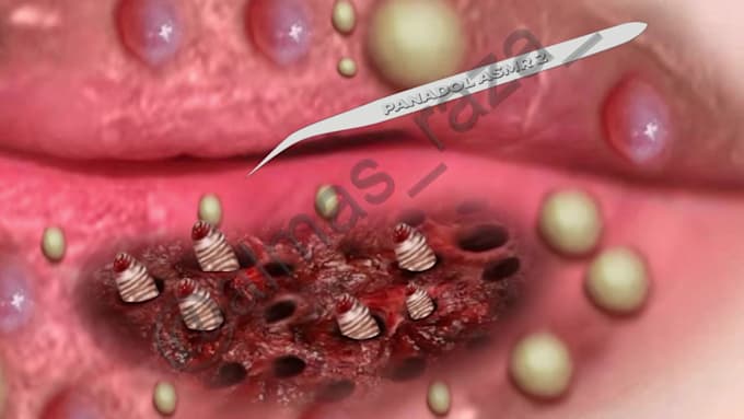 make oddly satisfying 3d asmr animation videos