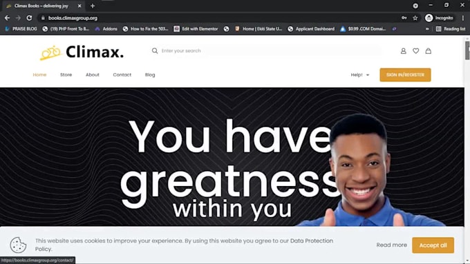 develop a wordpress business website or portfolio website