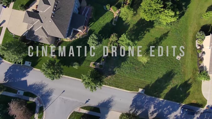 do professional video editing within 24 hours