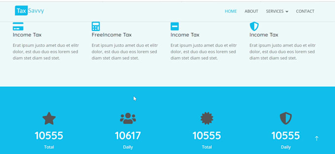 create custom shopify website design, website devlopment